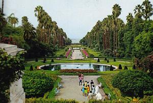 57- Alger- Jardin d'essai